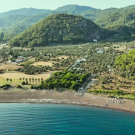 Semesteranläggning (resort) Eden And *