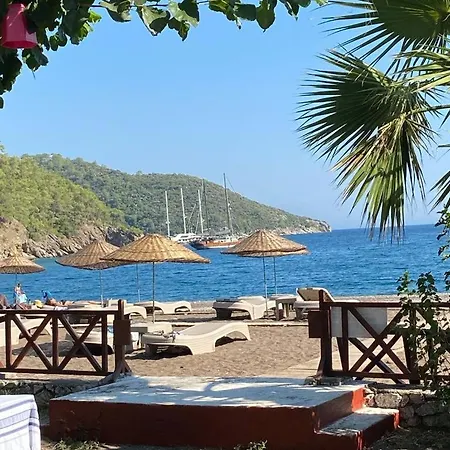 Semesteranläggning (resort) Eden And *